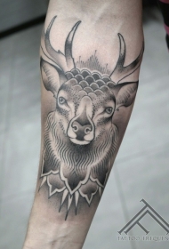 小臂插画风格彩色鹿纹身图案