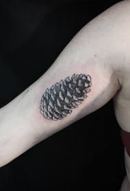 手臂黑灰逼真松塔纹身图案