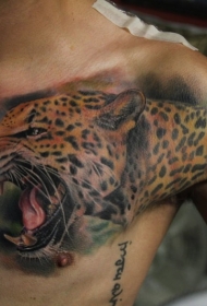 胸部彩色逼真的豹头纹身图案