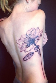 背部天然外观彩色美丽的花朵纹身图案