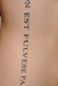 腰侧黑色拉丁文字母纹身图片