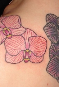 简约的红色和黑色兰花肩部纹身图案