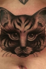 腹部猫头像纹身图片