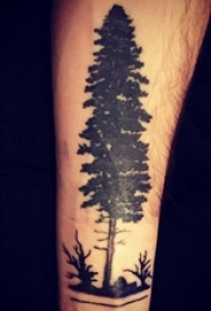 男生手臂上黑灰色清新树木纹身图片