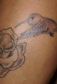 肩部灰色未完成的蜂鸟纹身