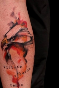 颜色有趣的鹰字母纹身图案