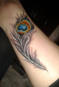 手臂彩色的写实孔雀羽毛纹身图案