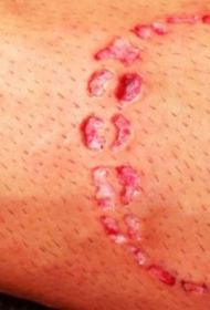 可怕的割肉人类牙齿痕迹纹身图案