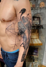 华丽的逼真彩色大鸟与神秘圆圈纹身图案