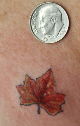 肩部彩色小枫叶纹身图案