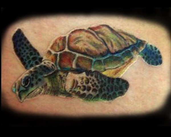 腰部彩色好看的乌龟纹身图案