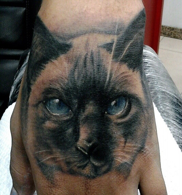 手背可爱的写实猫纹身图案