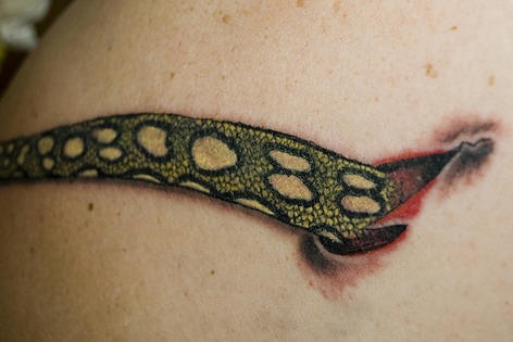 肩部彩色蛇撕皮纹身图案