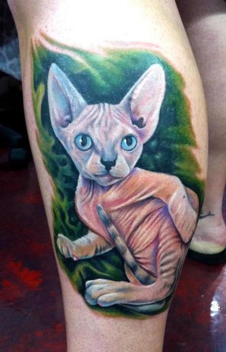 好看的斯芬克斯猫小腿纹身图案