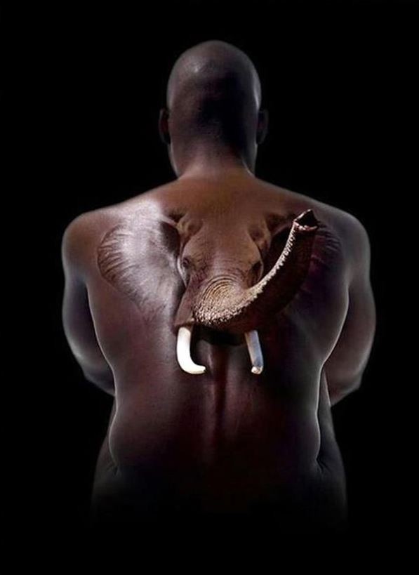 背部很酷的3D逼真大象纹身图案