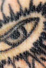 愤怒的眼睛纹身图案