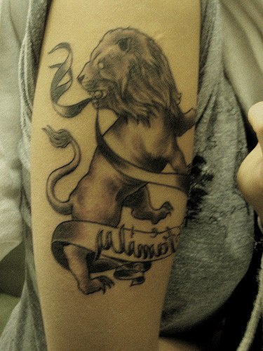 手臂棕色现实的狮子纹身图案