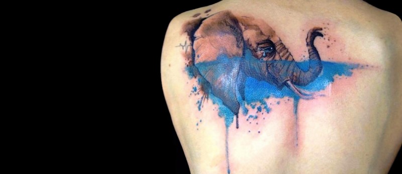 背部现代传统风格的大象彩色纹身图案
