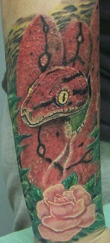 腿部彩色红蛇与玫瑰纹身图案