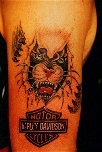 手臂彩色皮肤撕裂豹纹身图案