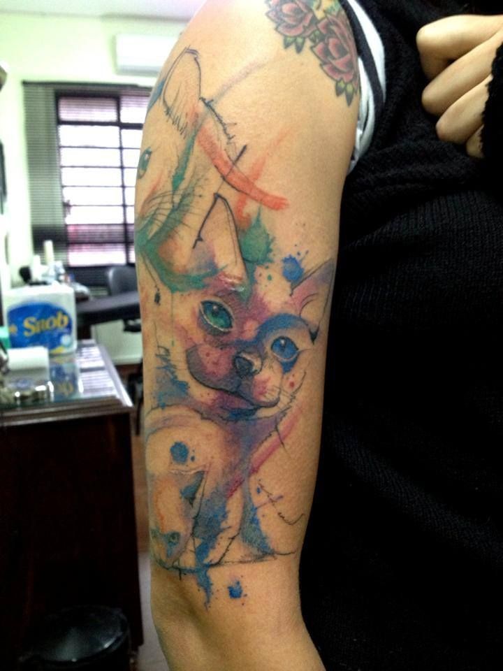 手臂有趣的三只猫纹身图案