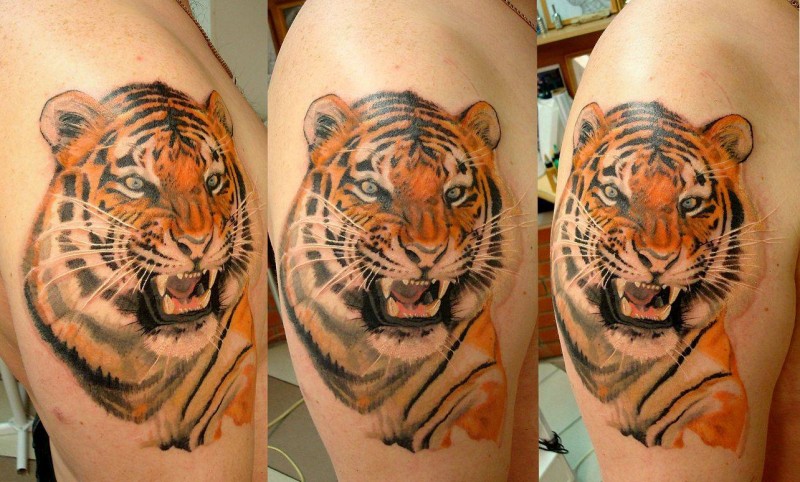 肩部逼真彩色老虎头纹身图案