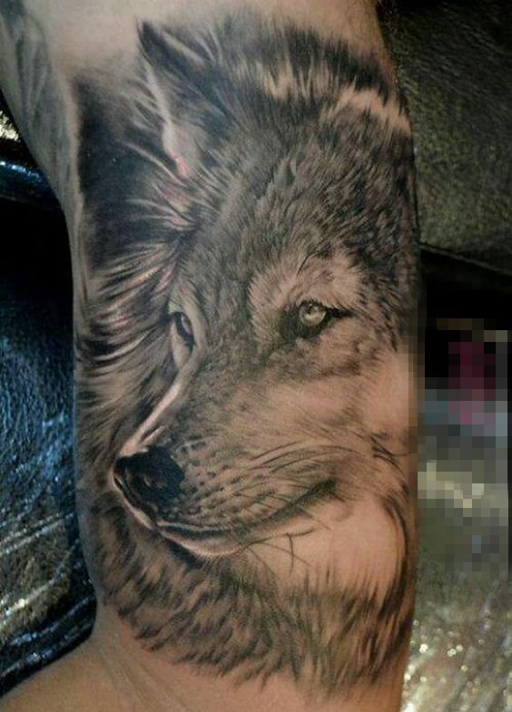 多款关于狼的创意个性霸气纹身图案