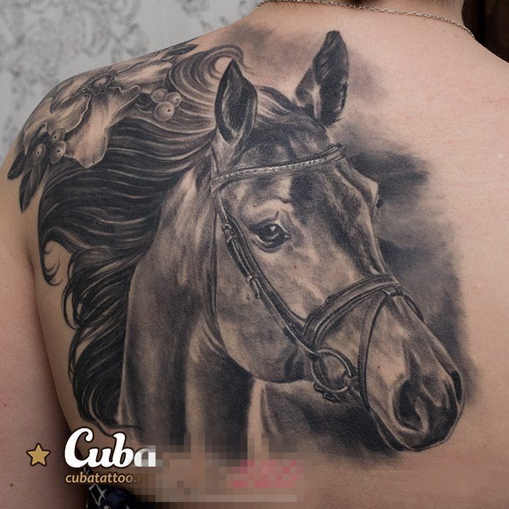 多款创意个性的设计感十足的动物马纹身图案