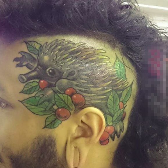 个性而富有趣味色彩的彩绘鸭嘴兽纹身图案