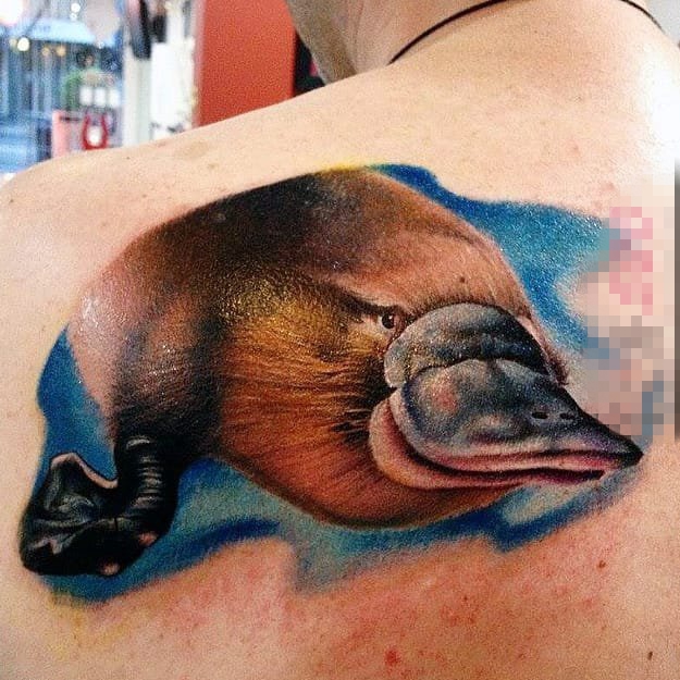 个性而富有趣味色彩的彩绘鸭嘴兽纹身图案