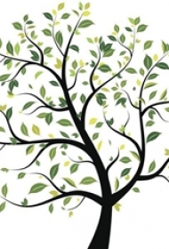 彩绘素描文艺小清新生命树纹身手稿