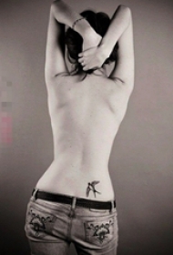 女生背部黑色素描创意动物小鸟纹身图片