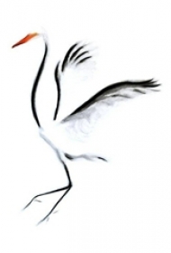 彩绘点刺技巧水墨白鹤纹身手稿