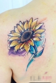女生背部彩绘水彩素描唯美向日葵纹身图片