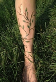 多款关于弯弯的黑色抽象线条植物藤纹身图案