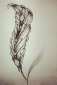 黑色素描超写实3d创意个性羽毛纹身手稿