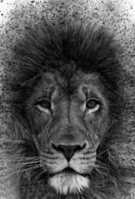霸气的黑色点刺小动物狮子纹身手稿