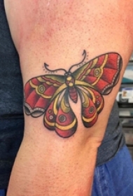 女生手臂上彩绘水彩素描创意文艺唯美花纹蝴蝶纹身图片