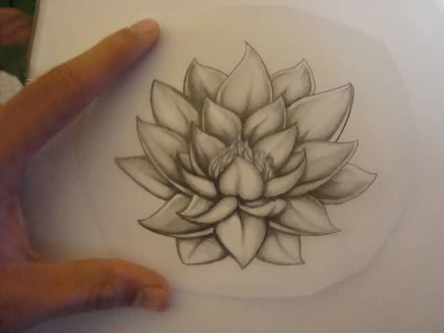 纯洁无暇的黑色抽象线条植物莲花纹身手稿