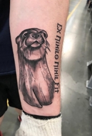 男生手臂上黑灰点刺简单线条小动物海豹纹身图片