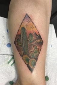男生小腿上彩绘几何菱形和植物仙人掌纹身图片