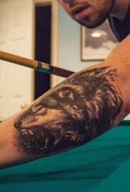 男生手臂上黑色点刺抽象线条小动物凶猛的狼纹身图片