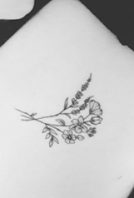 唯美的黑色点刺小清新植物花朵纹身手稿