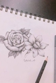 黑灰素描文艺小清新唯美花朵纹身手稿