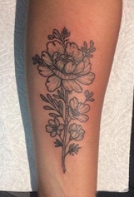男生手臂上黑色点刺简单线条植物花朵纹身图片