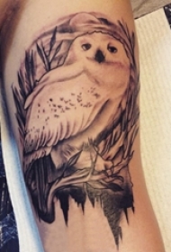 男生手臂上黑灰素描点刺技巧创意老鹰纹身图片