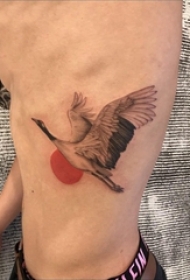 男生侧腰上彩绘几何线条太阳和动物白鹤纹身图片