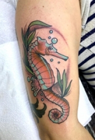 女生手臂上彩绘水彩素描创意文艺海马动物纹身图片