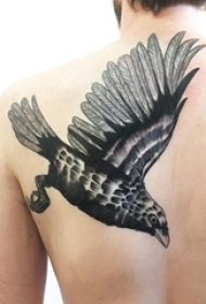 男生后背上黑色点刺简单线条小动物老鹰纹身图片