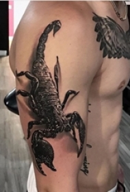男生手臂上黑灰素描点刺技巧创意蝎子3d纹身图片